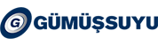 gümüssuyu logo